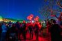 Weinbergnacht Bad Duerkheim 2025 Lichtshow